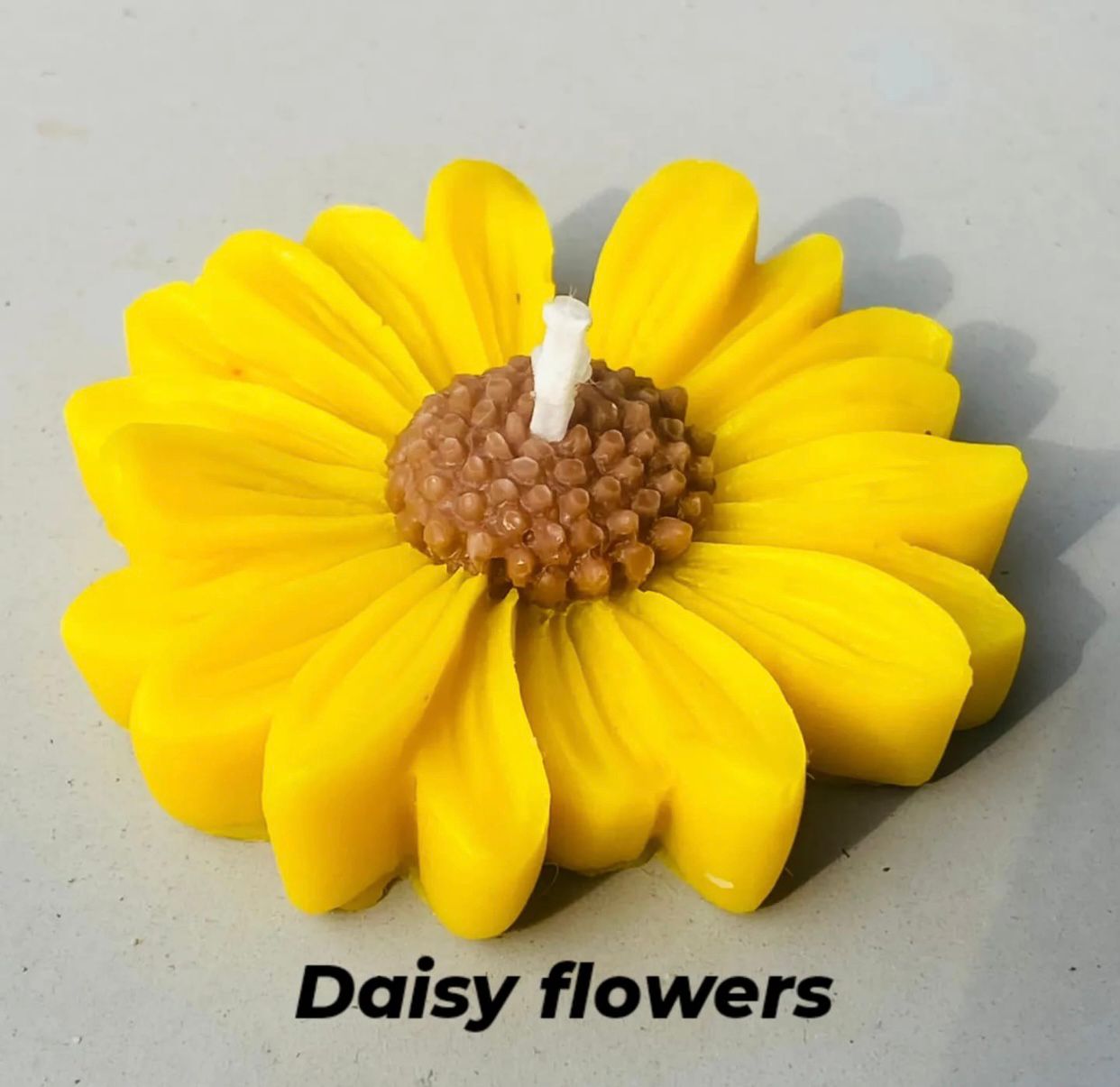 Daisy Flower